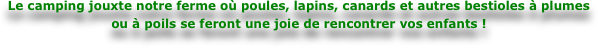 Le camping jouxte notre ferme où vaches, lapins, canards et autres bestioles à plumes ou à poils se feront une joie de rencontrer vos enfants !